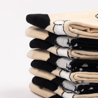 Exclusive Collection Moomintroll Winterland Men Socks