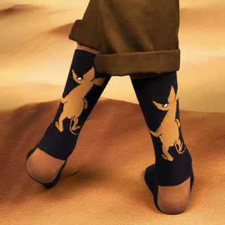 Sniff Wondering Men Socks