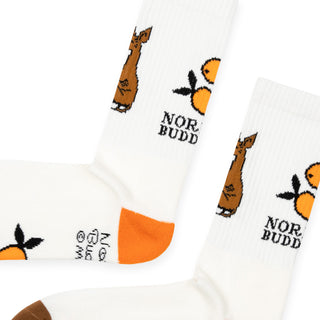 Sniff's Oranges Retro Men Socks - White