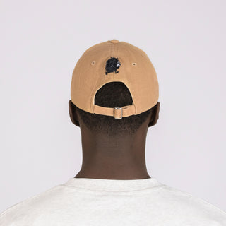 Stinky Dad Cap